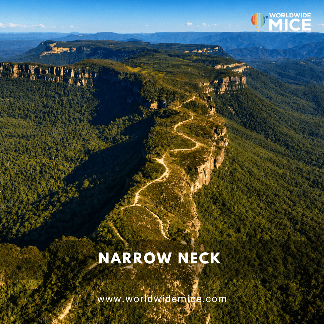 Narrow Neck